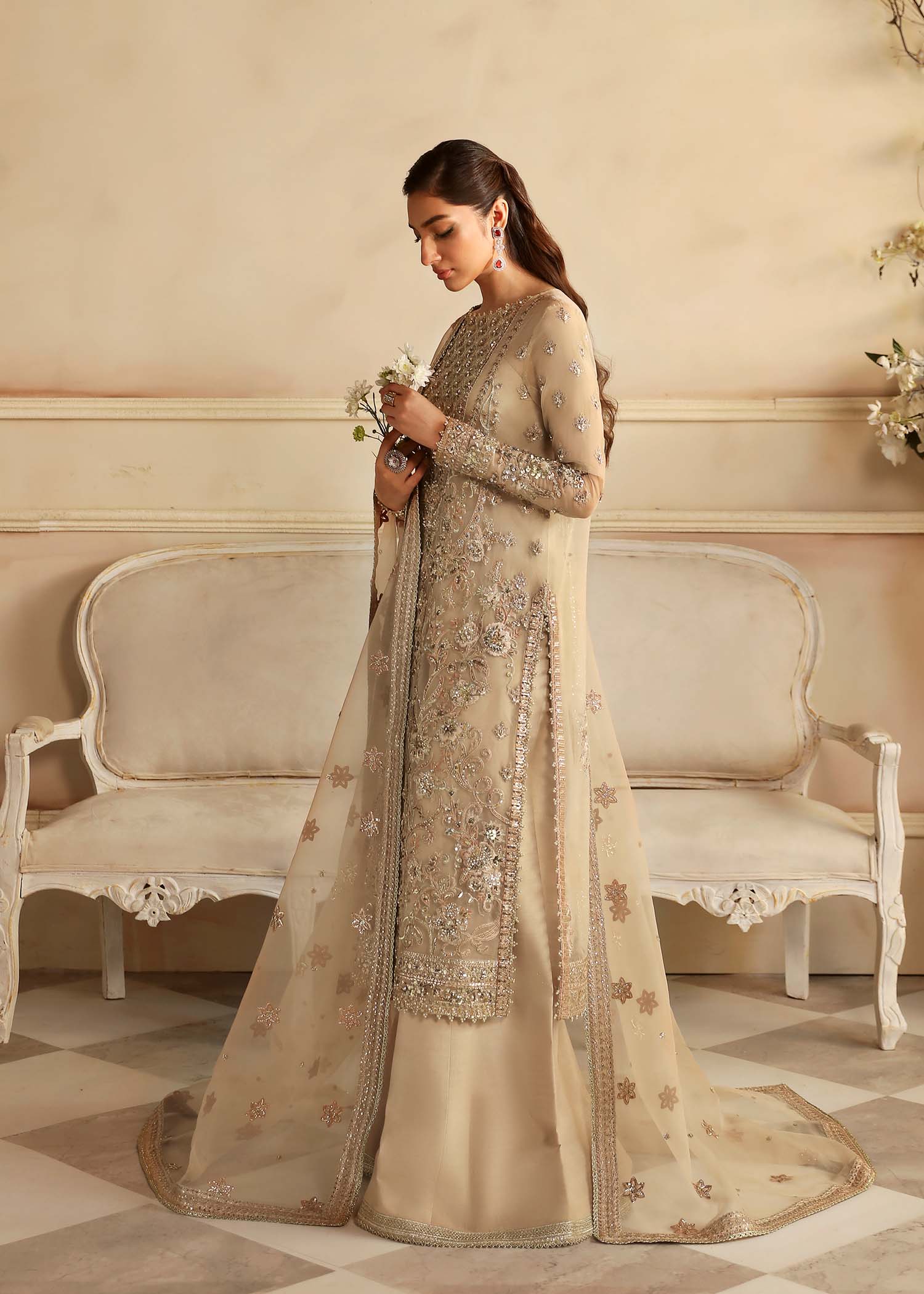Light Brown Color Formals Dress In Organza